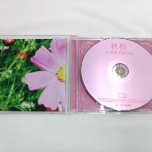 CD & DVD / 秋桜 / cosmos / 南さやか /【J30】/ 中古の画像4