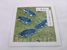 CD / シーラカンス / Coelacanth /【J1】/ 中古_画像1