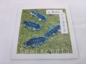 CD / シーラカンス / Coelacanth /【J1】/ 中古