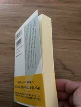 絶版★ 『破天　インド仏教徒の頂点に立つ日本人』山際素男著　光文社新書　インド仏教最高指導者・佐々井秀嶺氏について書かれた1冊_画像4