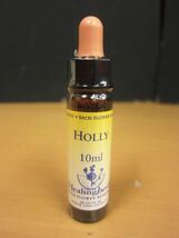 【新品未開封】ヒーリングハーブス Healing Herbs Flower Essence フラワーエッセンス 10ml HOLLY ホーリー_画像1