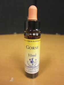 【新品未開封】ヒーリングハーブス Healing Herbs Flower Essence フラワーエッセンス 10ml GORSE ゴース ハリエニシダ