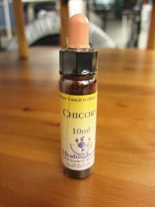 【新品未開封】ヒーリングハーブス Healing Herbs Flower Essence フラワーエッセンス 10ml CHICORY チコリー キクニガナ