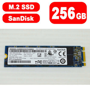 26A1019 健康状態正常 SanDisk M.2 SSD Type 2280 SATA 256GB 中古 抜き取り品 動作確認済 SD8TN8U-256G-1001 SSD X400