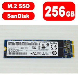 29A1019 健康状態正常 SanDisk M.2 SSD Type 2280 SATA 256GB 中古 抜き取り品 動作確認済 SD8TN8U-256G-1001 SSD X400