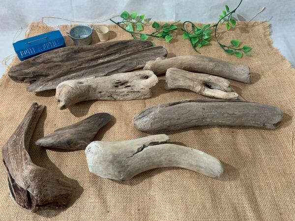 【37】流木　いろいろセット　素材　DIY アクアリウム　工作　木材　海　北海道