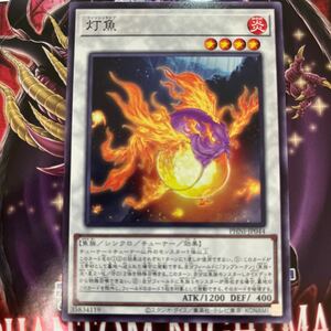 遊戯王　ノーマル　PHNI-JP044　灯魚　PHANTOM NIGHTMARE