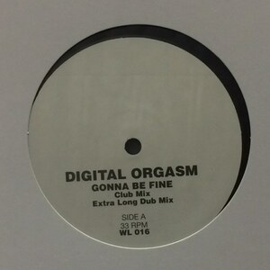 Digital Orgasm - Gonna Be Fine