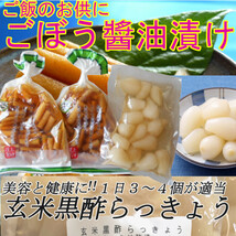 宮崎の漬物二選 ごぼう醤油漬 100g×2袋 玄米黒酢らっきょう 150ｇ×1袋 ご飯のお供 お酒の肴 送料無料_画像1