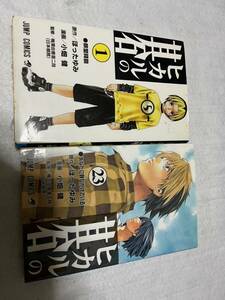 ヒカルの碁 23巻　全巻セット