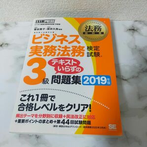 ビジネス実務法務検定試験３級テキストいらずの問題集　ビジネス実務法務検定試験学習書　２０１９年版 （法務教科書） 菅谷貴子