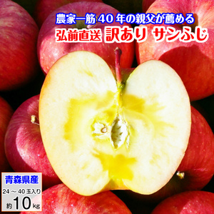 サンふじ りんご 蜜入りも 訳あり リンゴ 林檎 10kg 青森産 葉とらず ふじ フジ 富士 冨士 送料無料