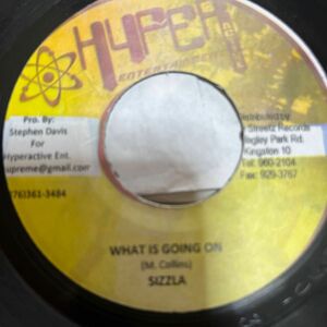 ※SIZZLA / what is going on ※ICE COLD / set good