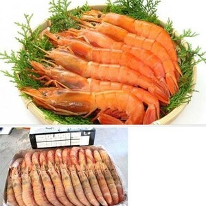  limited time! limited amount! selling up go men![12kg] Argentina red shrimp [L3]30/40 red shrimp sea .. . roasting! salt roasting sashimi also!