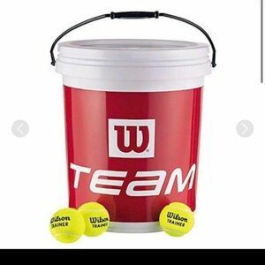 Wilson 硬式 テニスボール ノンプレッシャーボール トレーナー 72個