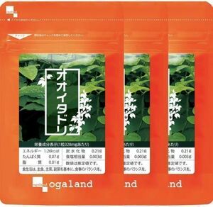 ★送料無料★オオイタドリ 約3ヶ月分(2025.3~)(30日分30カプセル×3袋)オーガランド サプリメント ポリフェノール レスベラトロール 緑イ貝