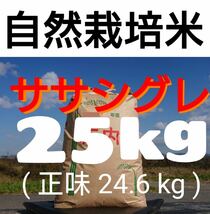 自然栽培米 幻の米 ササシグレ 令和５年産 山形県産 庄内米 玄米25kg(正味24.6kg)③_画像1