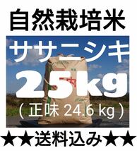 自然栽培米 ササニシキ 令和５年産 山形県産 庄内米 玄米 25kg 正味24.6kg③_画像1