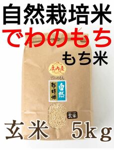 自然栽培米 無肥料 無農薬 でわのもち(もち米) 令和5年産 新米 山形県産 庄内米 玄米 ５kg(希望者のみ精米無料)