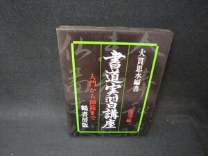 入門から師範まで書道実習講座　漢字編　大貫思水編著　シミ有/PCO