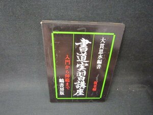 入門から師範まで書道実習講座　仮名編　大貫思水編著　シミ有/PCO