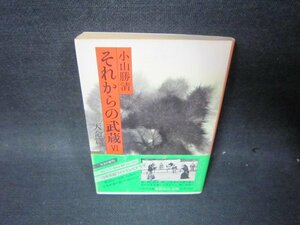 それからの武蔵6　天命篇　小川勝清　集英社文庫　日焼け強シミ有/PCS