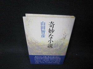 奇妙な小説　山田智彦　シミ有/PCX