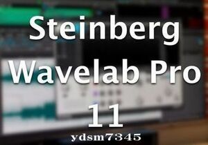 Steinberg WaveLab Pro 11 for Mac ダウンロード 永久版 無期限使用可 台数制限なし