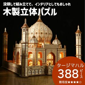 立体パズル 大人 ウッドパズル 木製 木製立体パズル 模型 プラモデル 3D タージマハル 知育玩具 プレゼント 工作キット