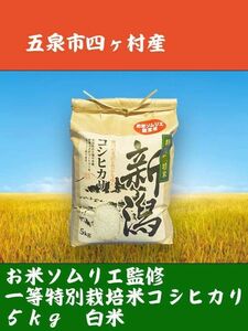 味に自信あり！令和5年新潟県五泉市四ヶ村産1等特別栽培(減農薬50%)コシヒカリ2950円大特価です。色彩選別済。