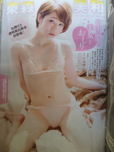 別冊ヤングチャンピオン◆2015/No.5◆高崎聖子/東森美和_画像3