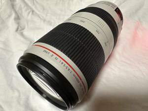 Canon EF100-400mm f/4.5-5.6L IS USMⅡ2防湿庫保存品　完全動作　美品ワンオーナー　付属品すべてあり　