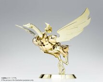 新品 聖闘士聖衣神話EX キグナス氷河（新生青銅聖衣）GOLDEN LIMITED EDITION /TAMASHII NATIONS STORE 魂ネイションズストア_画像3