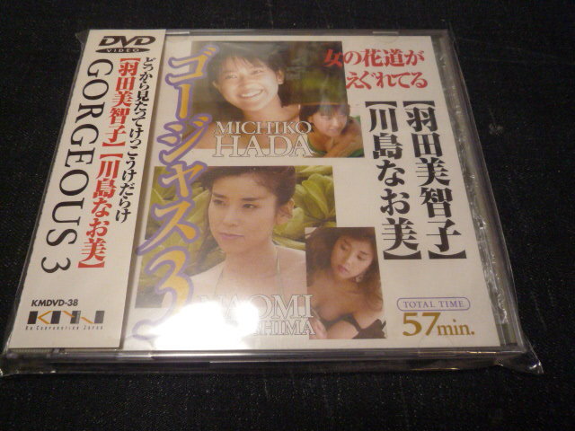 羽田美智子（非売品）（新品）資生堂プルミエ横幕