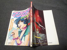 綺麗です マクロス 劇場版 スペシャルプレビュー 愛おぼえていますか フォトグラビア 飯島愛 小学館/昭和59年/初版_画像2