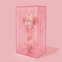 未使用 KAWS HOLIDAY INDONESIA FIGURE PINK カウズ ホリデー インドネシア フィギュア ピンク_画像4