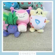 【大量】 三英貿易 ポケモン ぬいぐるみ 17点セット ALL STAR COLLECTION【C1【S3_画像5