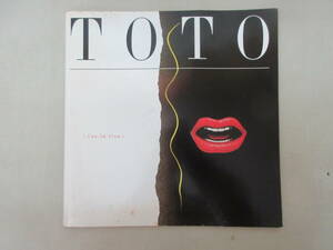 ★送料0円★ コンサートツアー パンフレット　TOTO　アイソレーション 1985年 ZB231115M1