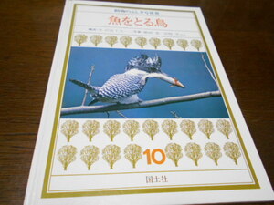 ★国土社・絶版絵本　小学初級～　動物の不思議な世界　『魚をとる鳥』　構成・文　/　沢近十九一　写真・嶋田忠ほか