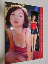 酒井若菜　フィギュア付き写真集　do-dai?　中古品_画像1