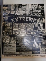 ECW ベアリーリーガル　VIDEO特典カード　9枚　非売品_画像3