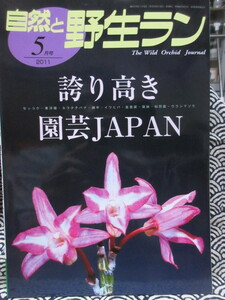 自然と野生ラン 2011年5月号 　特集：セッコク花物・細辛・春蘭展速報・古典如雨露