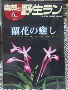  природа .. сырой Ran 2011 год 6 месяц номер орхидея цветок. .. специальный выпуск : способ орхидея * цветок лотос * один стебель 9 .* Kei Ran [..]