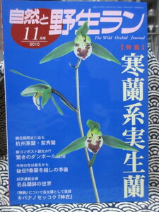 自然と野生ラン 2010年11月号 特集：寒蘭系実生蘭　杭州寒蘭　東洋蘭の冬越し対策