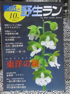 自然と野生ラン 2010年10月号 特集：出来秋の行方を占う～ミヤマムギラン　奥地蘭など