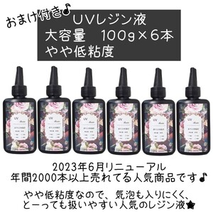 大容量　６本セット　即決価格　送料無料　花柄レジン液　低粘度　100g　透明UVレジン液　LED対応　レジン液　UVレジン液