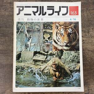 G-7046■週刊アニマルライフ No.163 昭和49年4月16日（1974年）■週刊 動物の世界■アジアの原生林の動物 マライ諸島の原生林の動物