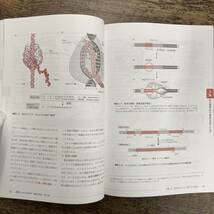 G-6821■基礎から学ぶ生物学・細胞生物学 第2版■和田 勝/著■羊土社■2014年2月5日発行 第2版第5刷_画像5