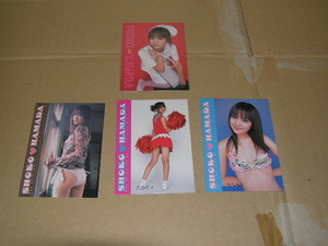 HIT's LIMITED 浜田翔子 Carton & BOX 3種