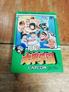 水島新司の大甲子園 ファミコンソフト FC ソフト　カプコン　CAPCOM